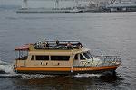 Dcim11387/DSC_3951