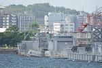 Dcim11394/DSC_4663