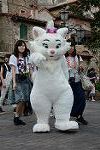 Dcim11395/DSC_4766