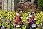 Dcim11432/DSC_9867
