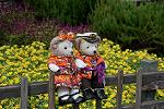 Dcim11432/DSC_9872