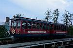 Dcim11438/DSC_0715