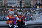 Dcim11438/DSC_0731