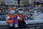 Dcim11438/DSC_0732