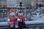 Dcim11438/DSC_0736