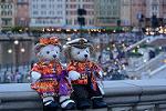 Dcim11438/DSC_0737