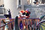 Dcim11440/DSC_0892
