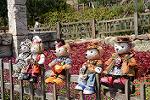 Dcim11441/DSC_0927