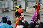 Dcim11447/DSC_1823