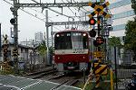 Dcim11450/DSC_2159