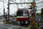 Dcim11450/DSC_2160