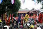 Dcim11462/DSC_3503