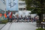 Dcim11465/DSC_3895