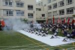 Dcim11468/DSC_4234