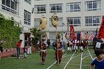 Dcim11468/DSC_4278