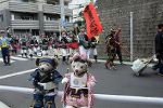 Dcim11469/DSC_4340
