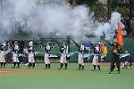 Dcim11471/DSC_4575