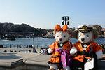 Dcim11479/DSC_5472