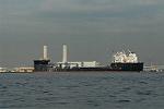 Dcim11481/DSC_0914