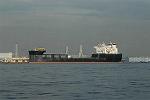 Dcim11481/DSC_0918