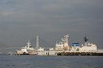 Dcim11486/DSC_6451