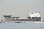 Dcim11486/DSC_6484