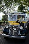 Dcim11488/DSC_6633
