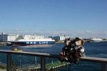 Dcim11495/DSC_7429