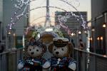 Dcim11498/DSC_7926