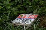 Dcim11515/DSC_9966