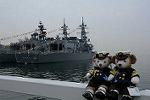 Dcim11516/DSC_0079