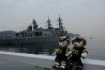 Dcim11517/DSC_0287