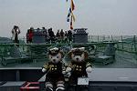 Dcim11521/DSC_0677