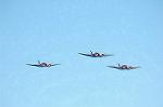 Dcim11527/DSC_5919
