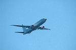 Dcim11527/DSC_6005