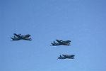 Dcim11541/DSC_2279