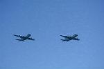 Dcim11541/DSC_2304
