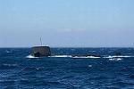Dcim11542/DSC_2572
