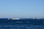 Dcim11543/DSC_2622