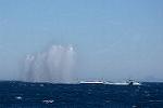 Dcim11543/DSC_2673