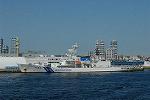 Dcim11552/DSC_1300