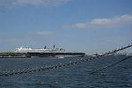 Dcim11553/DSC_4518