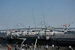 Dcim11556/DSC_5012
