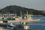 Dcim11573/DSC_6196