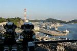 Dcim11573/DSC_6198