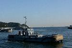 Dcim11573/DSC_6232
