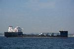 Dcim11574/DSC_6484