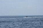Dcim11578/DSC_7380