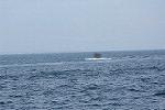 Dcim11578/DSC_7381