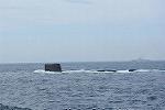 Dcim11578/DSC_7404